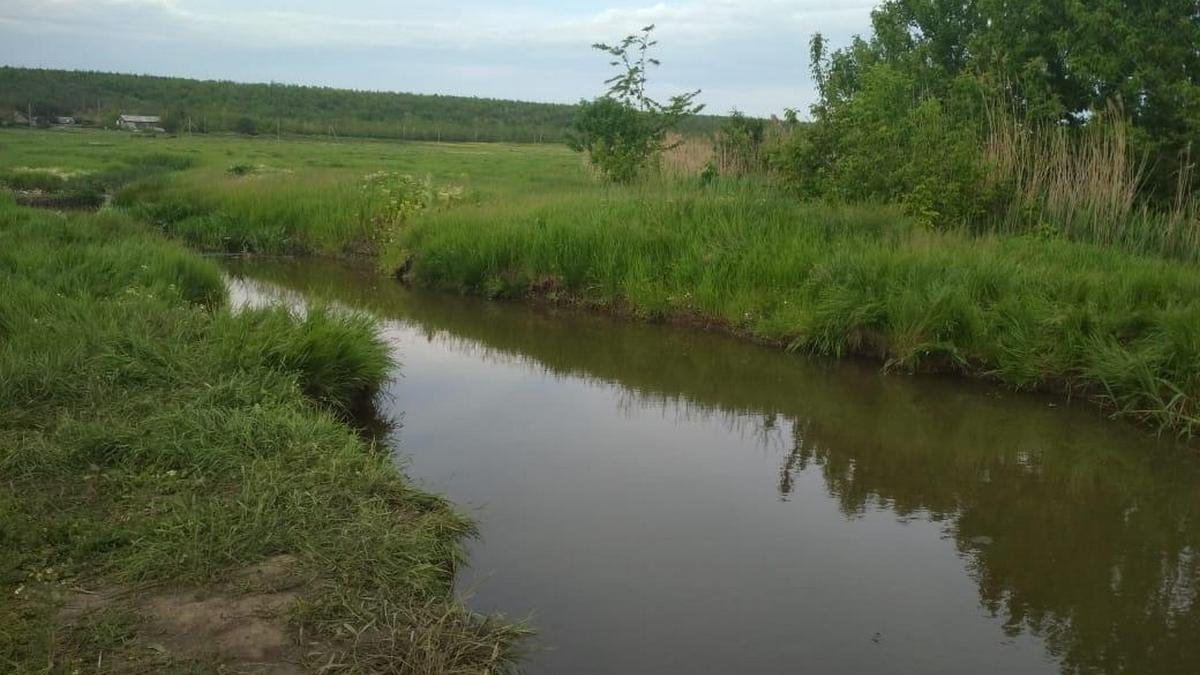 В Одесской области 12-летний мальчик утонул на глазах у младшей сестры