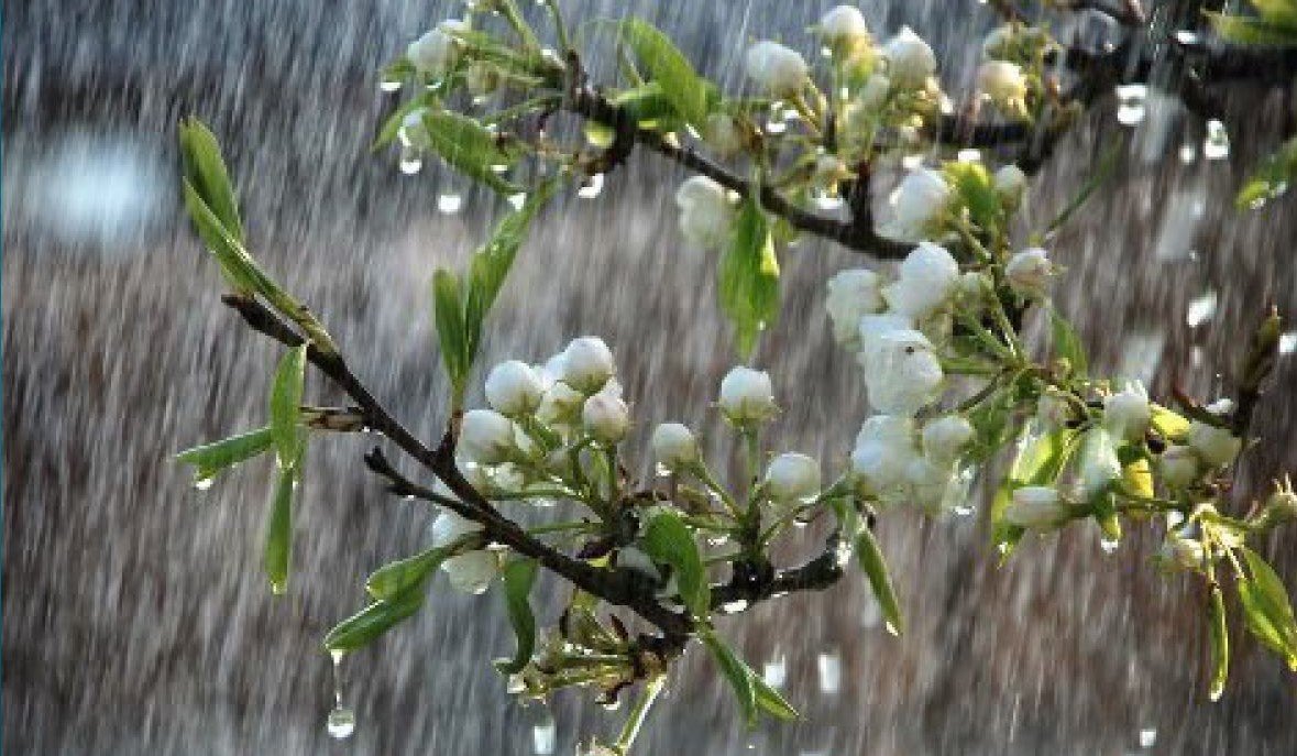 Дожди с грозами и до + 27: погода в Украине и Киеве на 27 мая
