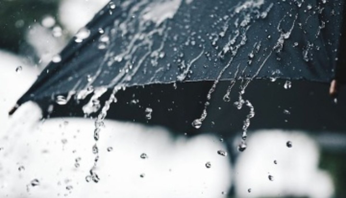 Похолодання та дощі: погода в Україні на 23 листопада