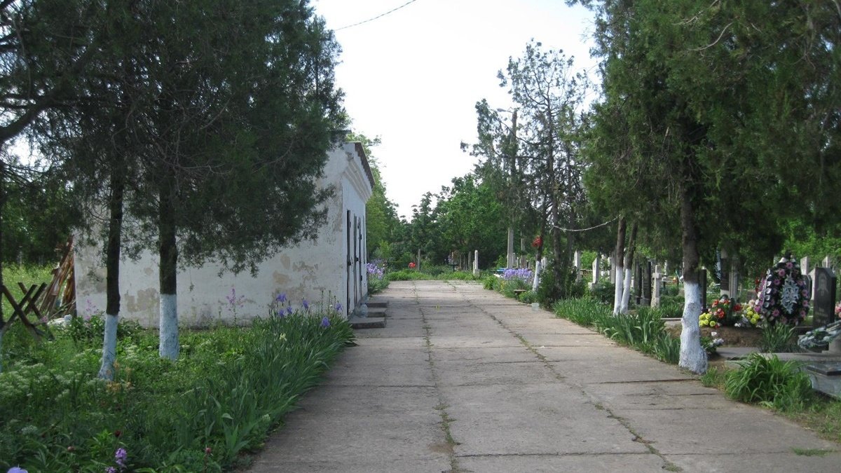 В Одесской области двое мужчин выпивали на кладбище и отстреливались от пенсионеров: пожилая пара в больнице