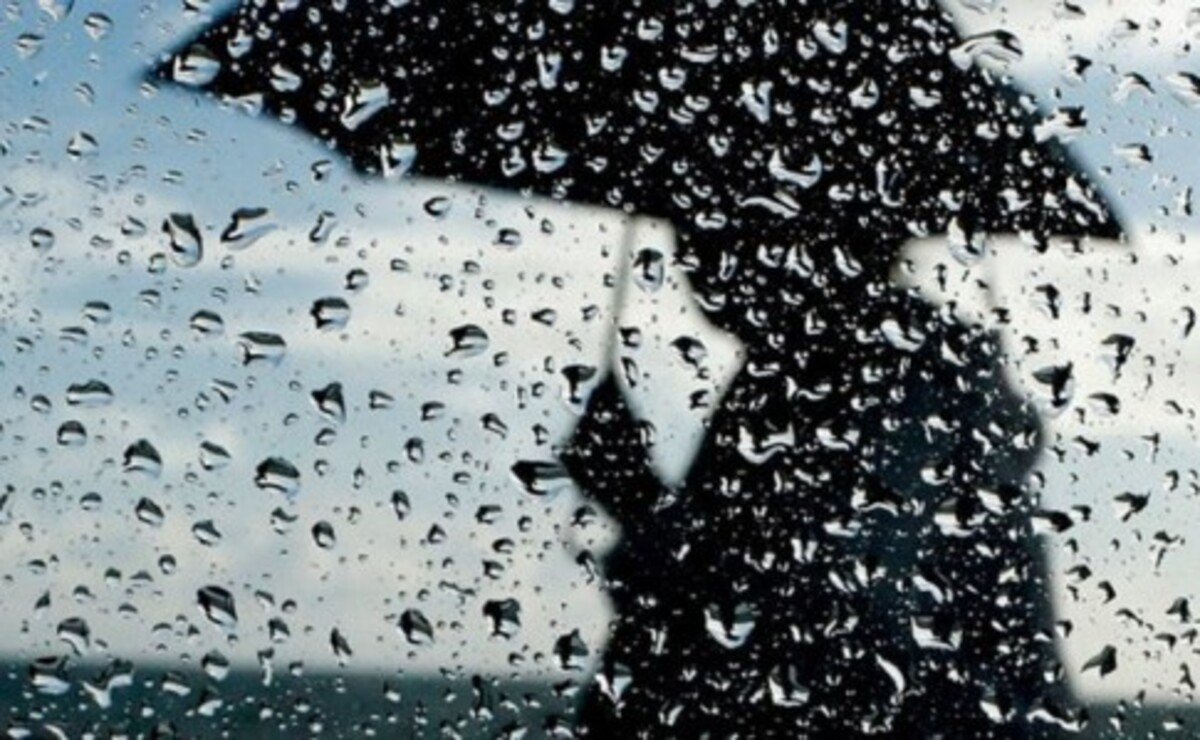Завтра по Україні пройдуть дощі, в деяких регіонах буде сухо: погода на 2 червня