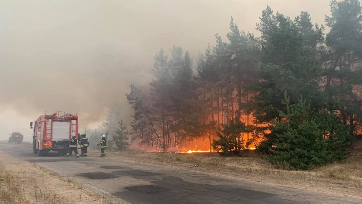 Пожежі у Луганській області: парламент просить звільнити главу облдержадміністрації