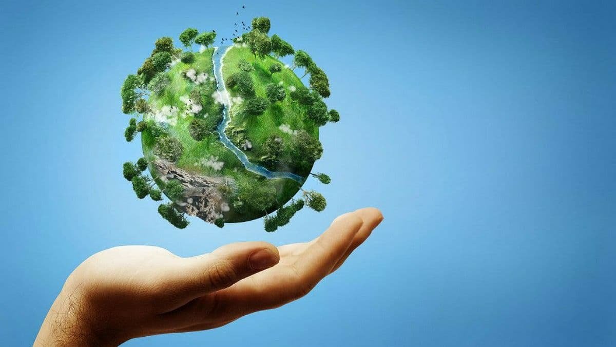5 червня: Всесвітній день охорони довкілля
