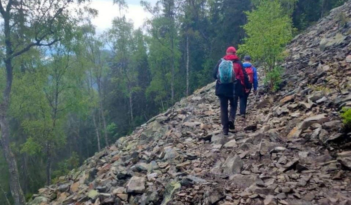 У Карпатах знайшли неповнолітніх заблукалих туристів: вони пропали в районі гори Хом'як