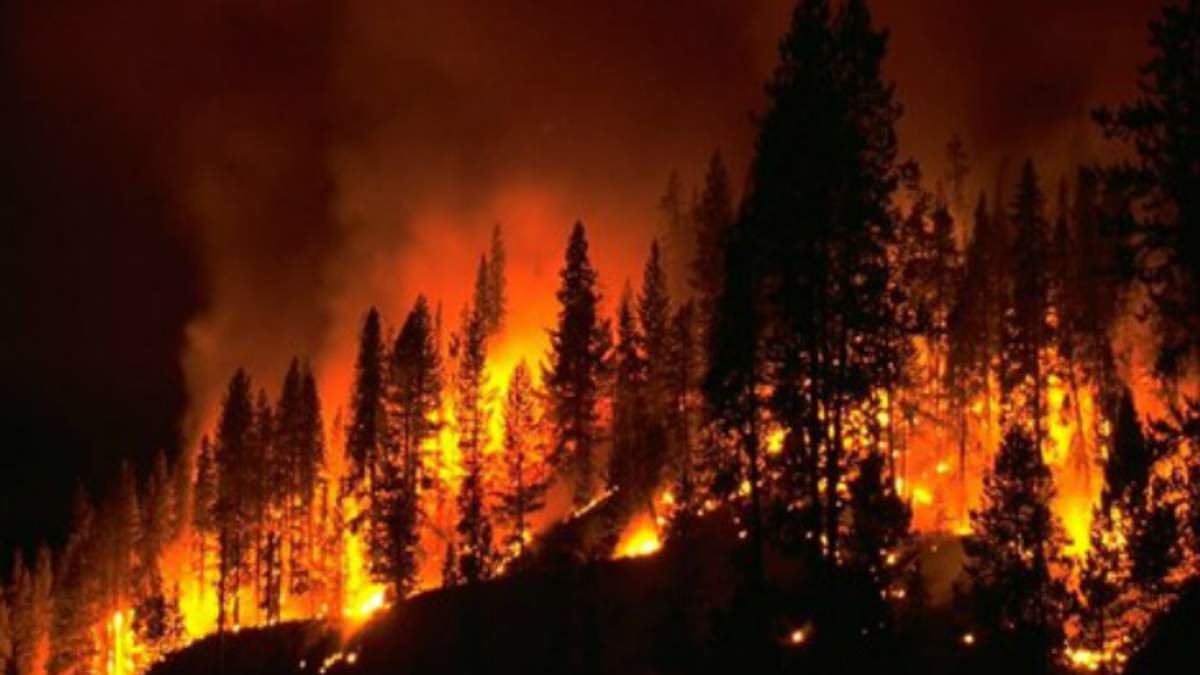 В пяти областях Украины объявили чрезвычайный уровень пожарной опасности