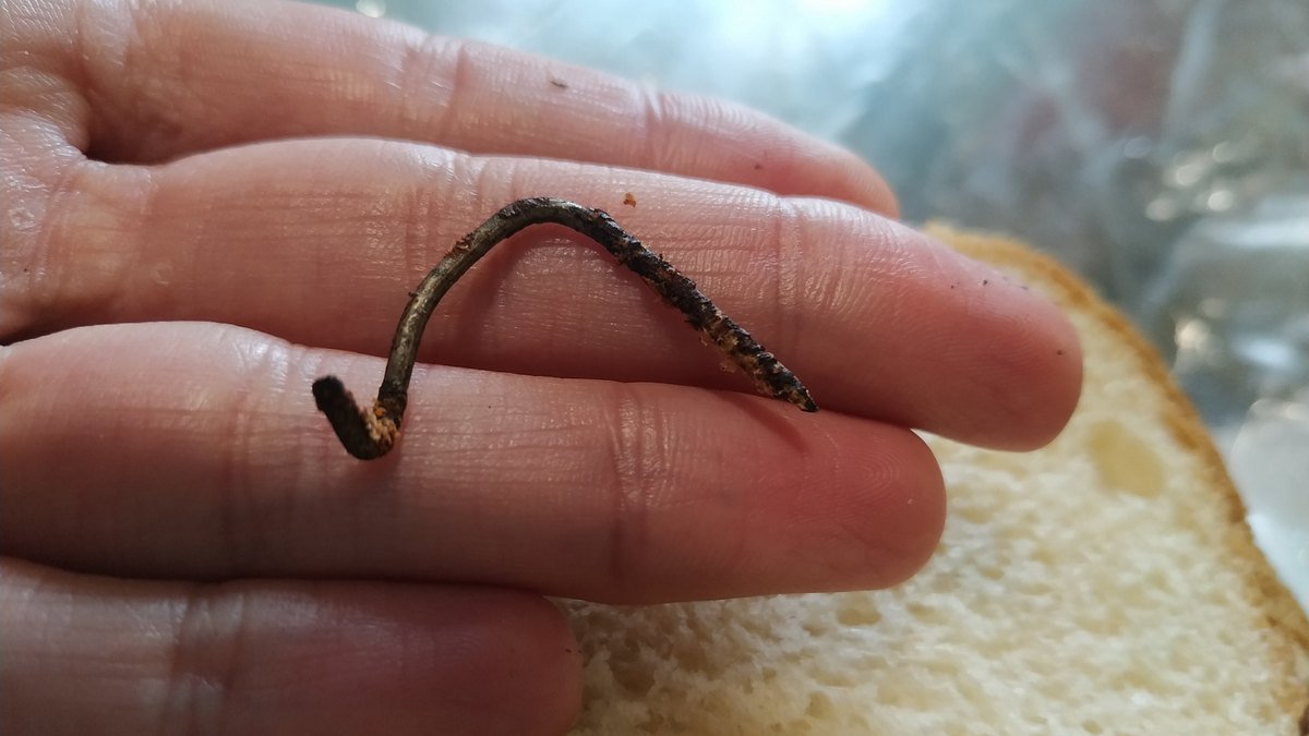 Грязные поддоны, волосы и мухи: на предприятии в Сумах провели проверку после гвоздя, найденного в их хлебе