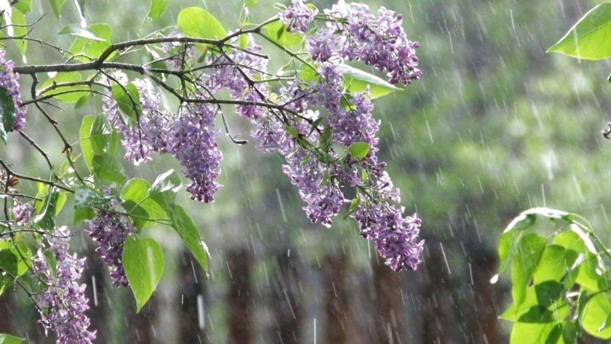 Погода в Україні на тиждень: дощі з грозами і до 28 градусів тепла