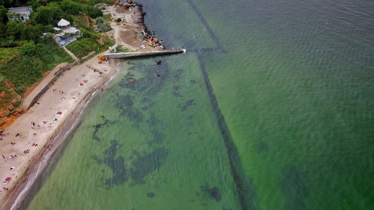 В Одессе «цветёт» Чёрное море: вода у берегов стала оливково-зелёного цвета