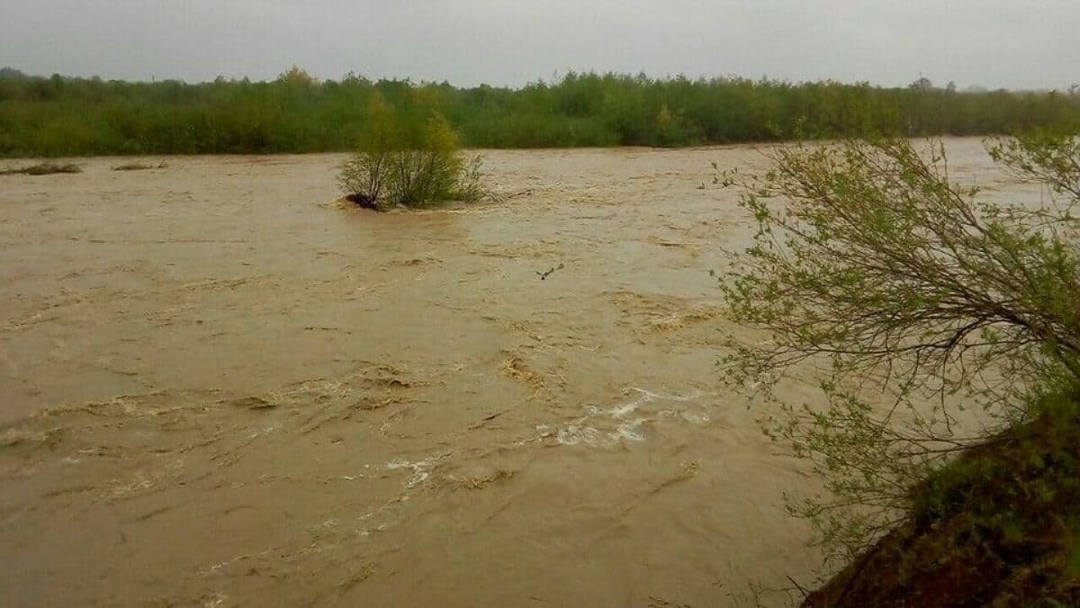 У Закарпатській області через сильні зливи є загроза паводків