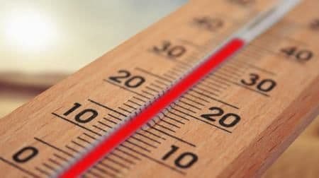 У Києві зафіксували перші температурні рекорди літа