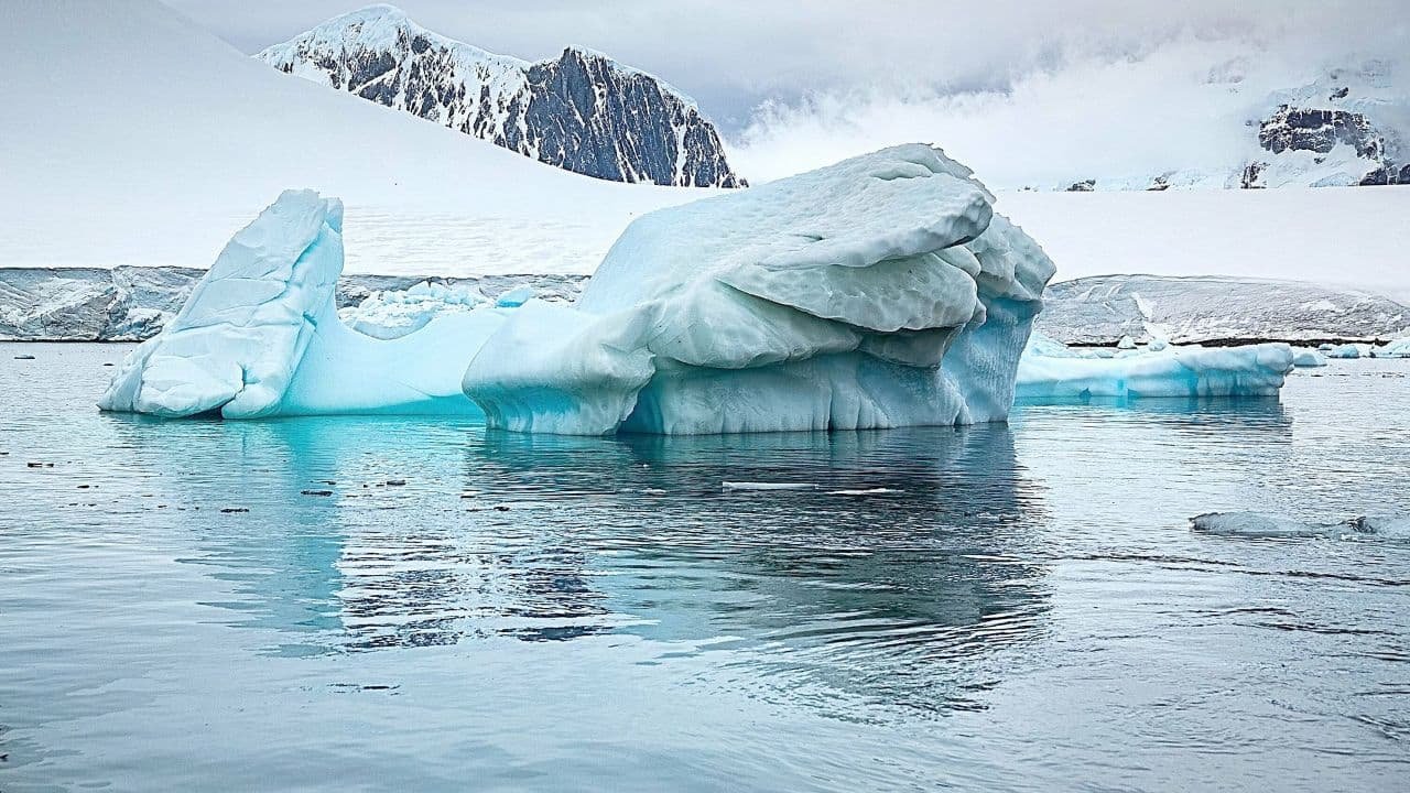 В Антарктике зафиксировали температурный рекорд