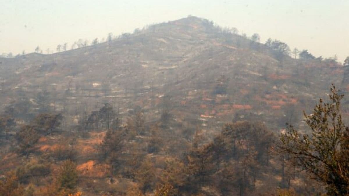 На Кипре бушуют лесные пожары: уже погибли 4 человека