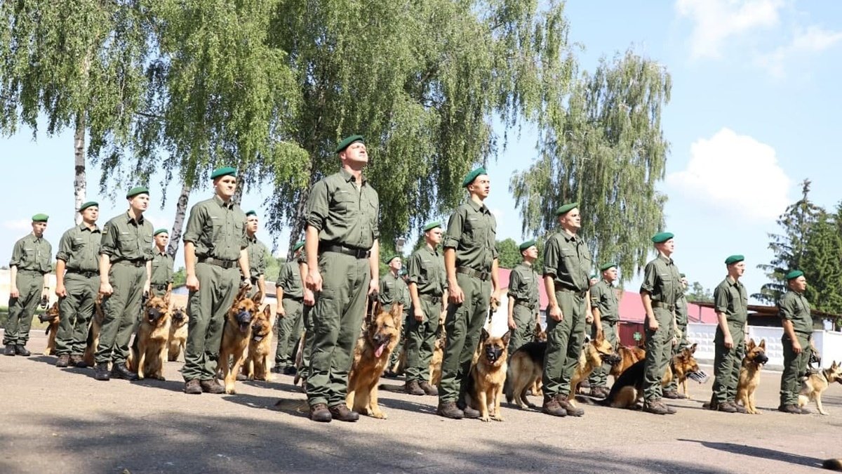 Ко Дню независимости в параде впервые будут участвовать пограничные собаки