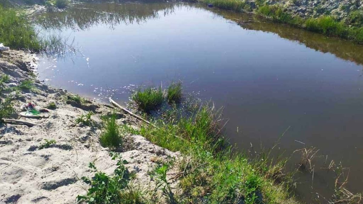 Без разрешения пошли купаться: в Черниговской области в пруду утонули два брата 10 и 14 лет