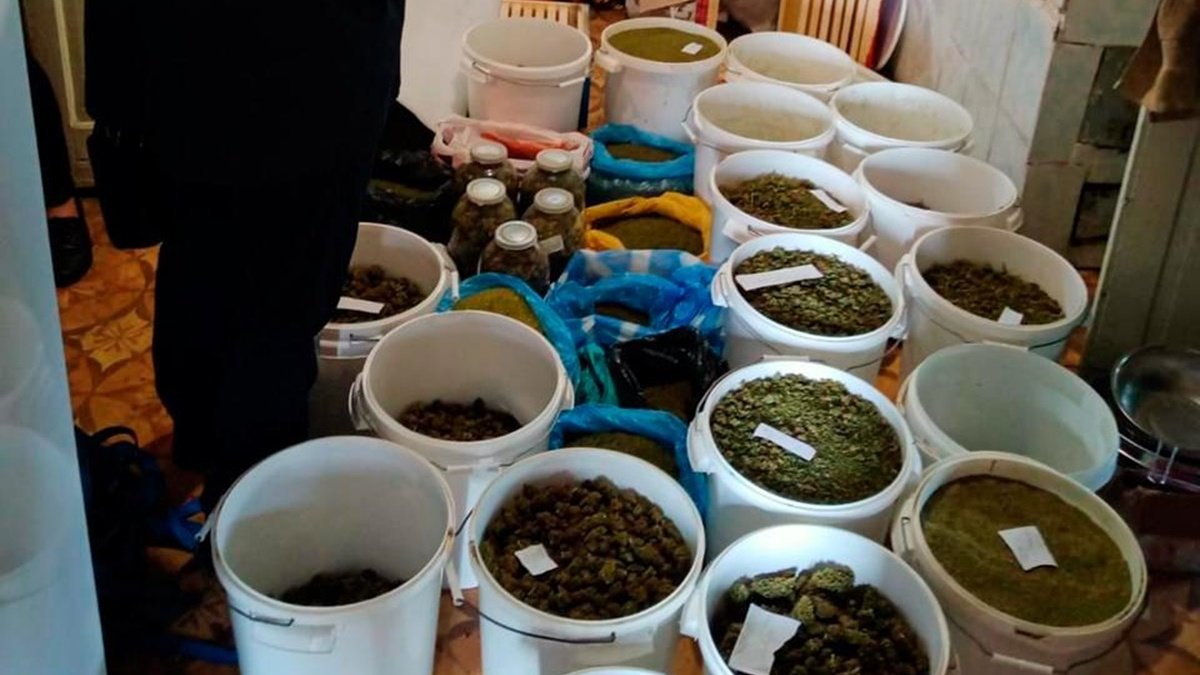 В Николаевской области мужчина хранил дома наркотики на сумму почти 8 миллионов гривен