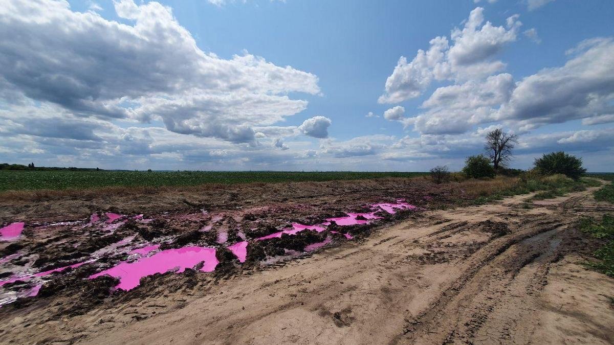 Розовые лужи в Ровенской области: полиция открыла уголовное дело