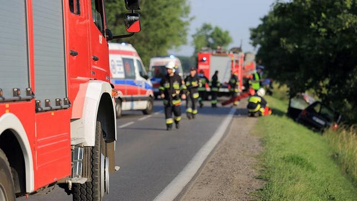 В Польше Nissan врезался в микроавтобус. Пострадали 9 человек, среди них — 7 украинцев