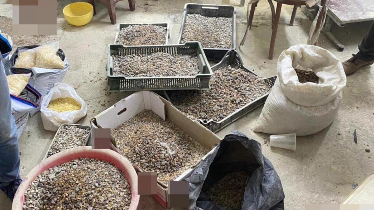 На Волині силовики викрили схему продажу сотень кілограмів бурштину в Арабські Емірати
