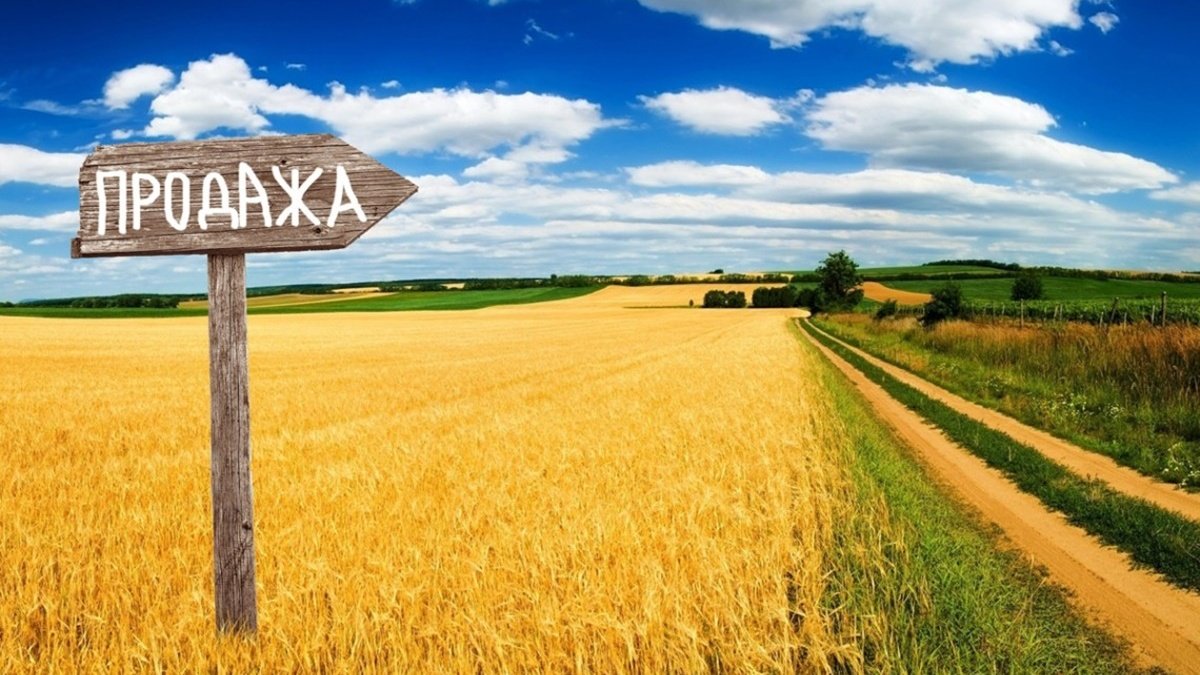 Ринок землі в Україні: де найчастіше скуповують ділянки