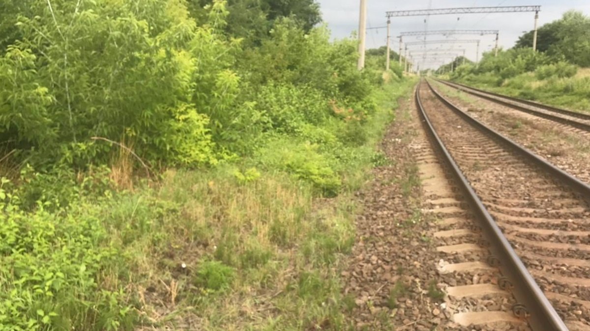 Из поезда «Львов — Мариуполь» во время движения выпал парень: он в реанимации