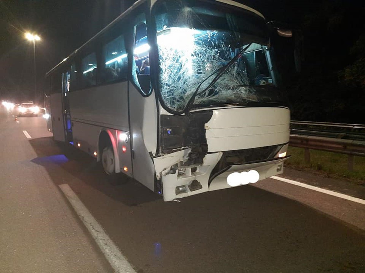 На трассе Киев — Чоп столкнулись фургон и автобус с паломниками: в салоне находилось 56 пассажиров