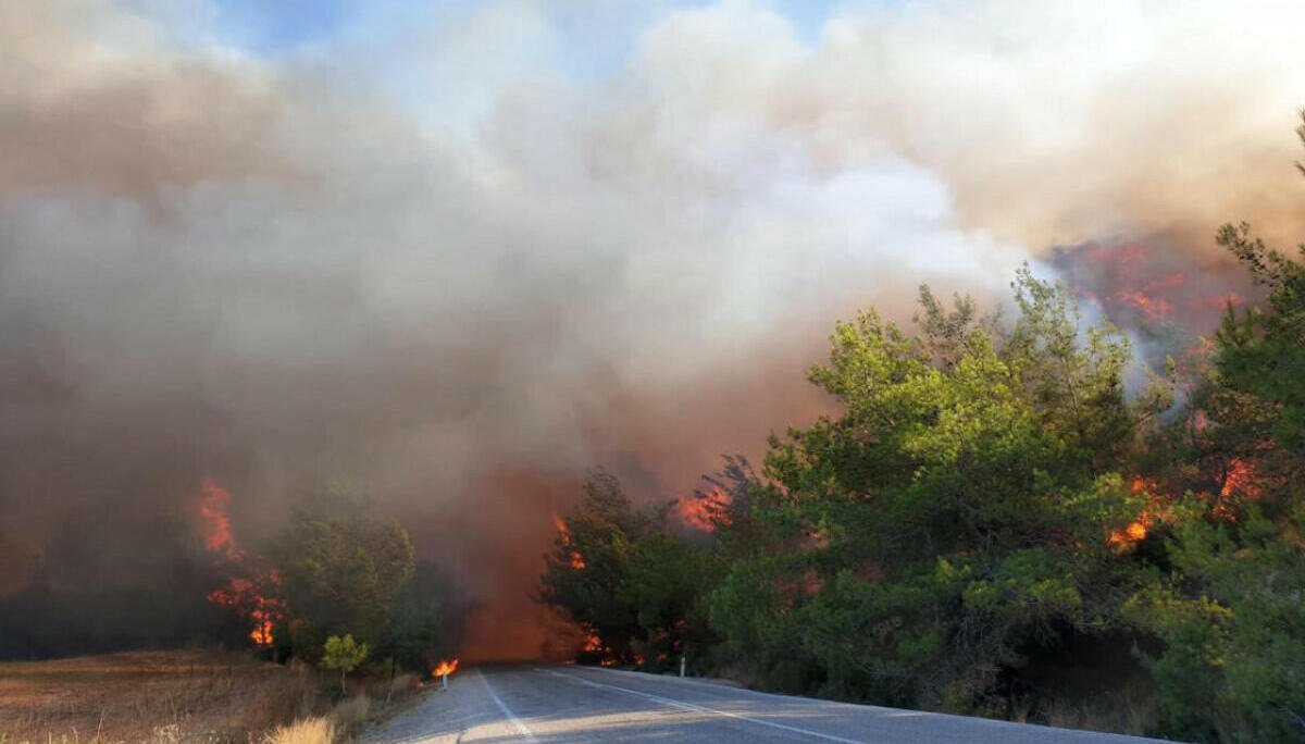 Лесные пожары в Турции: туристов эвакуировали из трёх отелей Бодрума