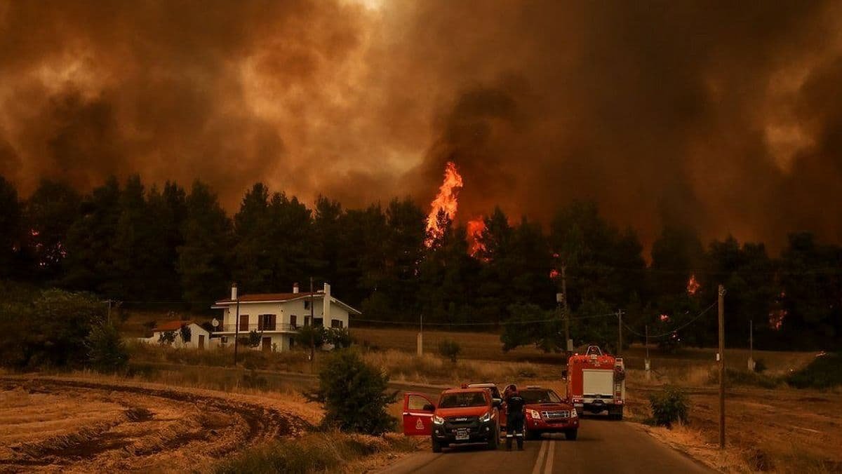 Из-за лесных пожаров в Греции погибли 2 человека
