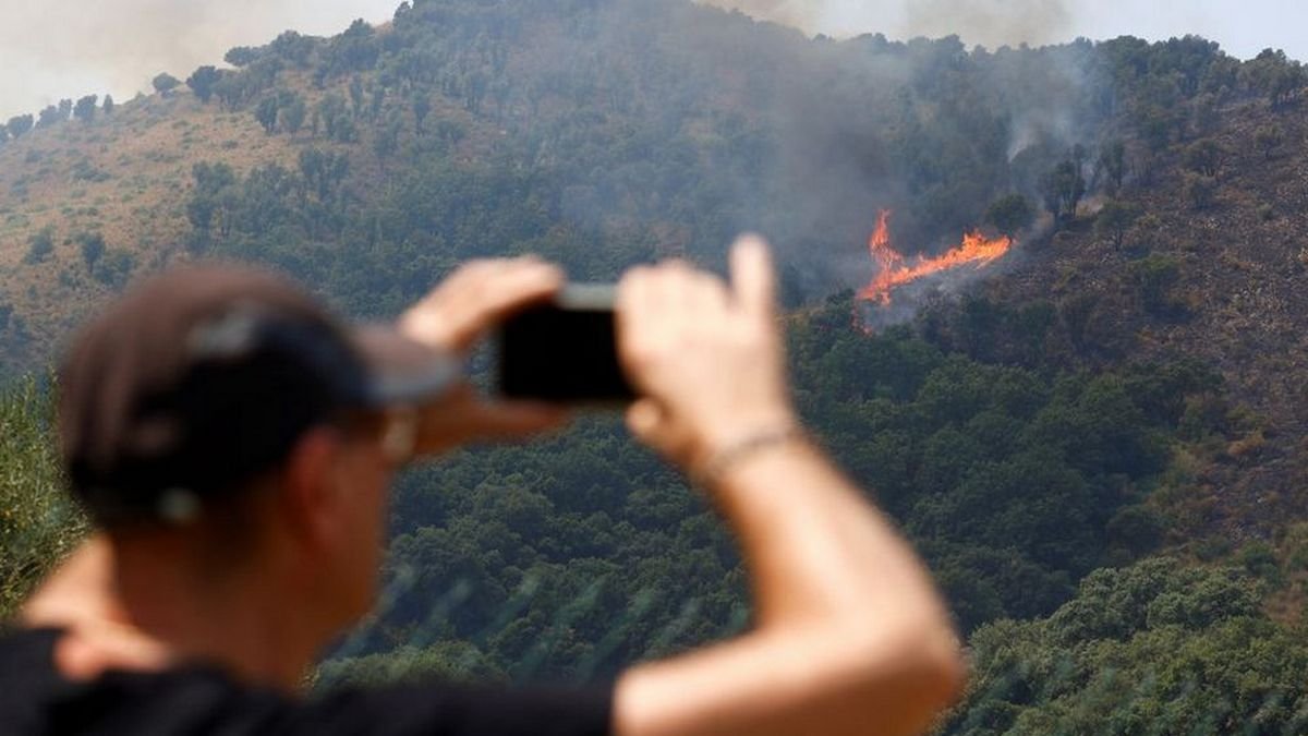 Італію також "атакували" лісові пожежі. Жителів містечок неподалік від Риму евакуювали