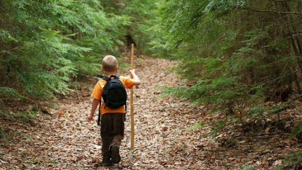 В Сумской области в лесу заблудился 7-летний мальчик: спасатели начали поиски