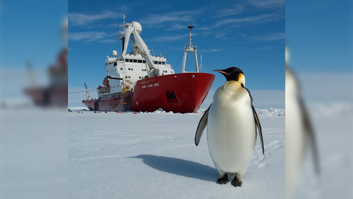 Україна "всиновила" криголам з Британії для експедицій в Антарктиці: йому обирають ім'я