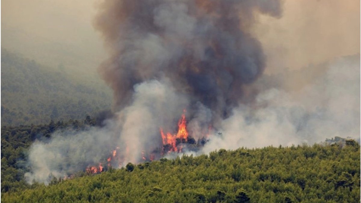 На греческом острове Эвбея вспыхнул пожар: эвакуировали три населенных пункта