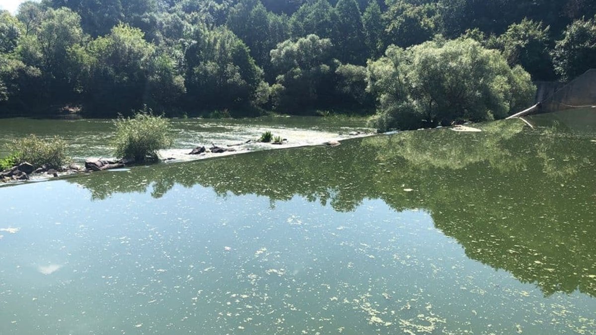 Майже 23 млн гривень збитків: Житомирводоканал забруднив річку Тетерів