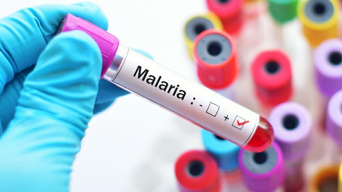 В Харькове зафиксировали случай тропической малярии