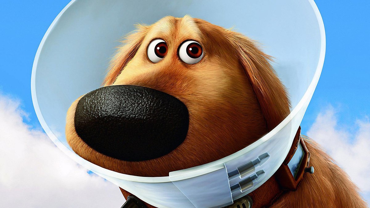 Disney снимет пять короткометражек, посвящённых псу Дагу из мультика «Вверх»