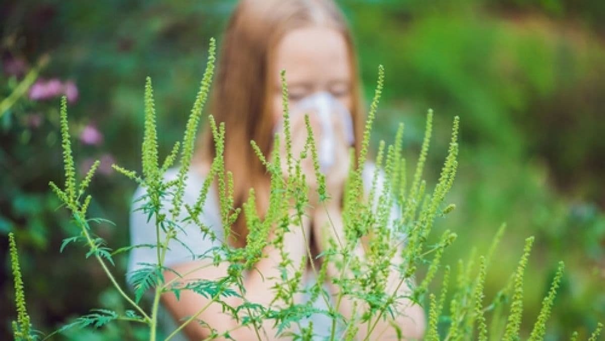 Як боротися з сезонною алергією
