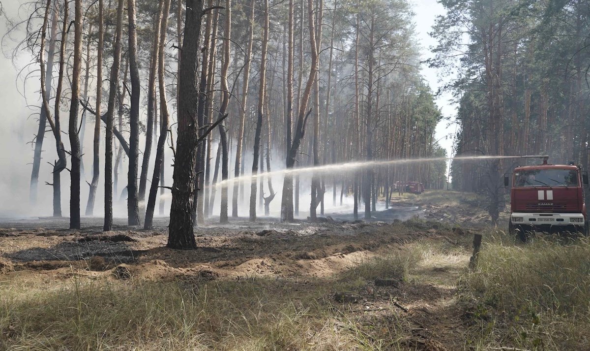 В Луганской области вспыхнул новый лесной пожар
