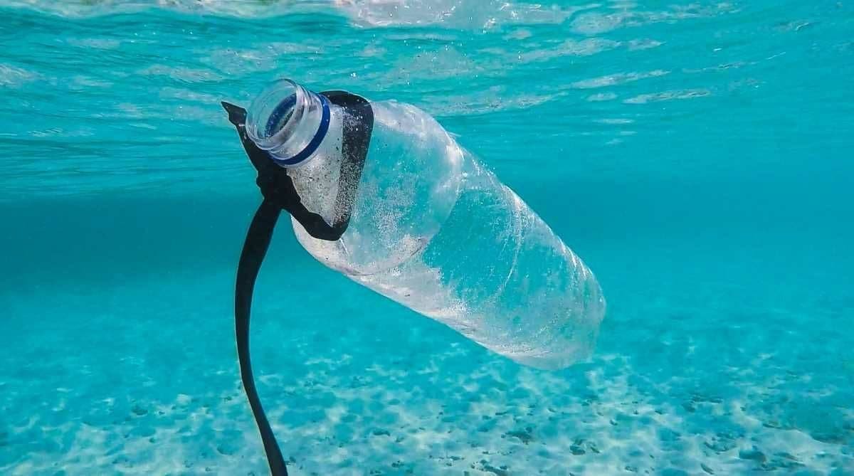 Количество пластика в океане может увеличиться втрое - ООН