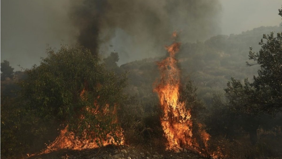 В Греции на горе Афон вспыхнул пожар