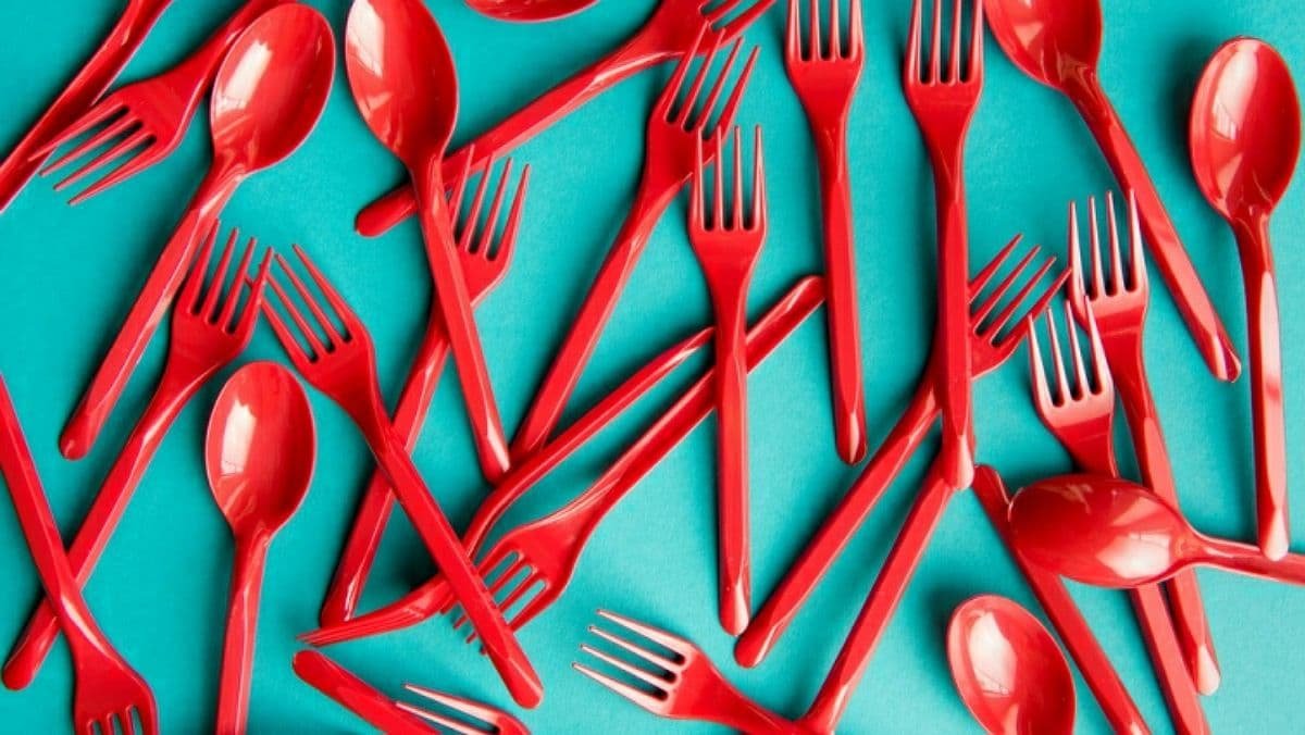 В Украине планируют запретить одноразовую посуду, ватные палочки и судочки