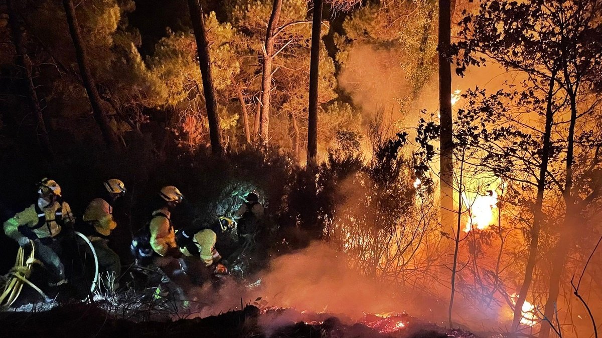 На півдні Іспанії через лісові пожежі евакуювали понад 400 осіб
