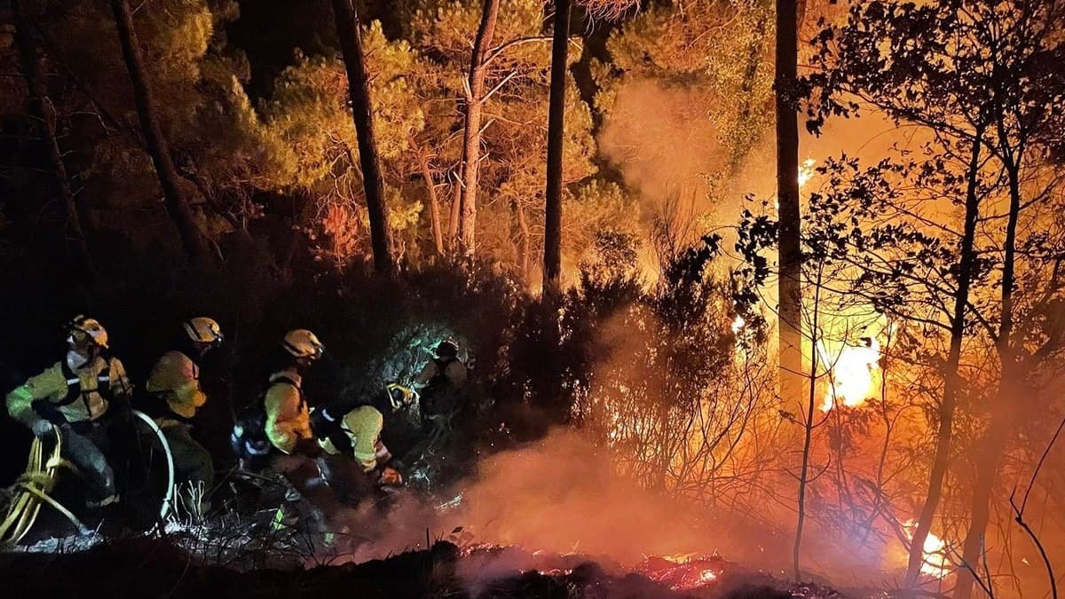 В Іспанії вирують лісові пожежі: одна людина загинула, ще тисячу евакуювали