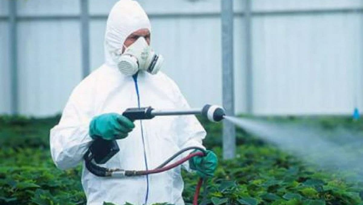 В Украине будут проверять использование пестицидов на предприятиях