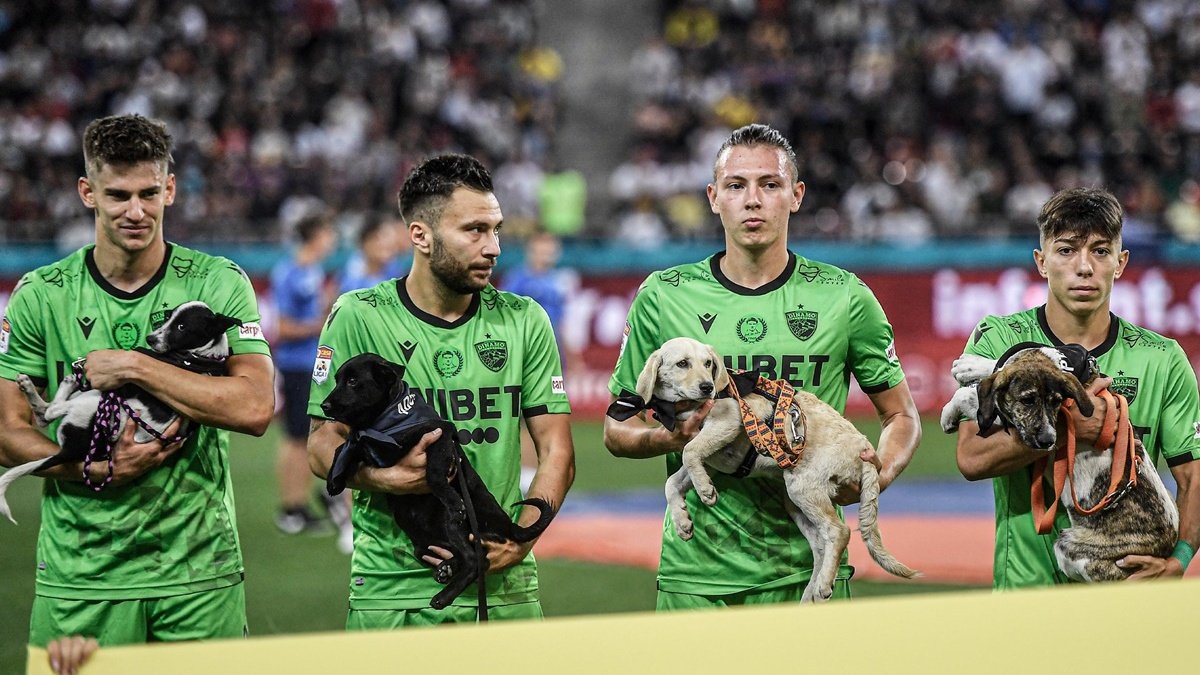 В Румынии футболисты вышли на поле с собаками на руках
