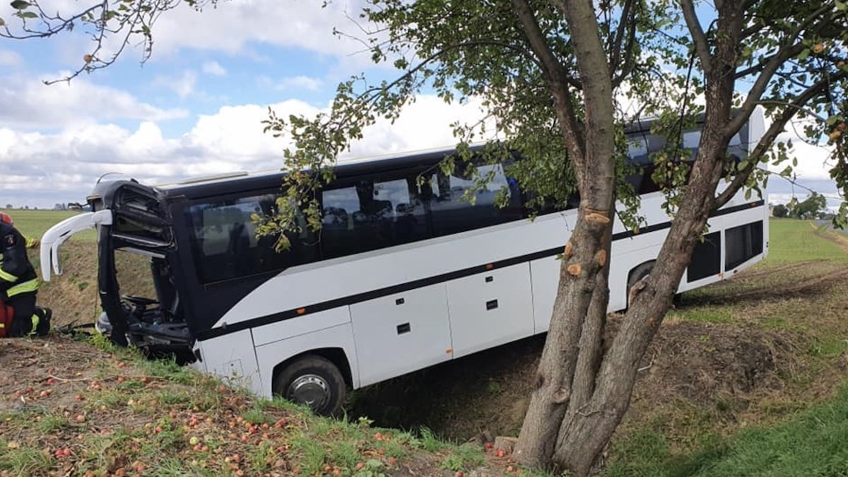 У Польщі в аварію потрапив автобус: в салоні було більше 30 дітей і вихователів