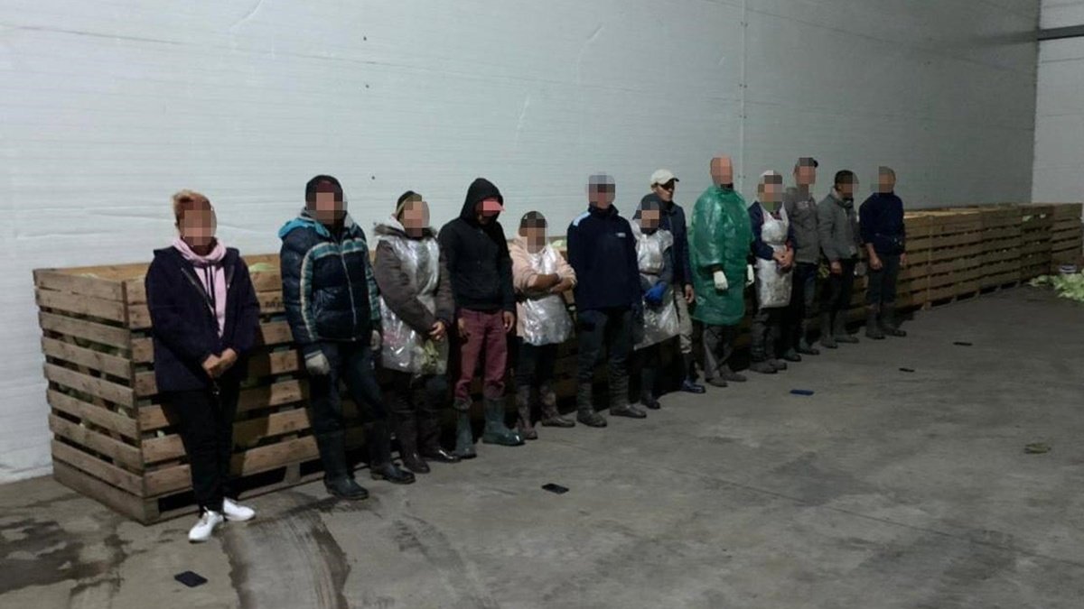 В Днепропетровской области банда держала в трудовом рабстве 60 человек