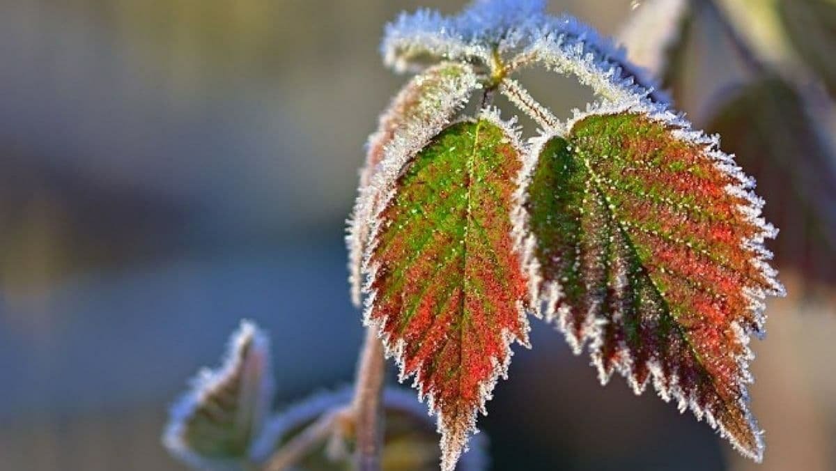 Мороз до - 9 та мокрий сніг: погода в Україні на 18 листопада