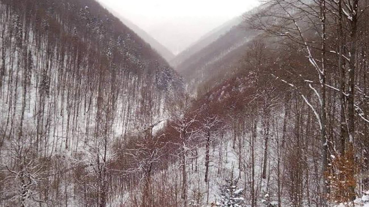 В Карпатах штормовий вітер зі сніжною крупою: рятувальники просять не виходити в гори