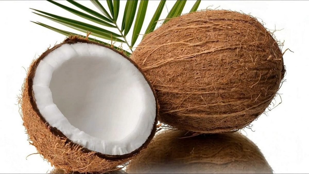 Як відкрити кокос в домашніх умовах