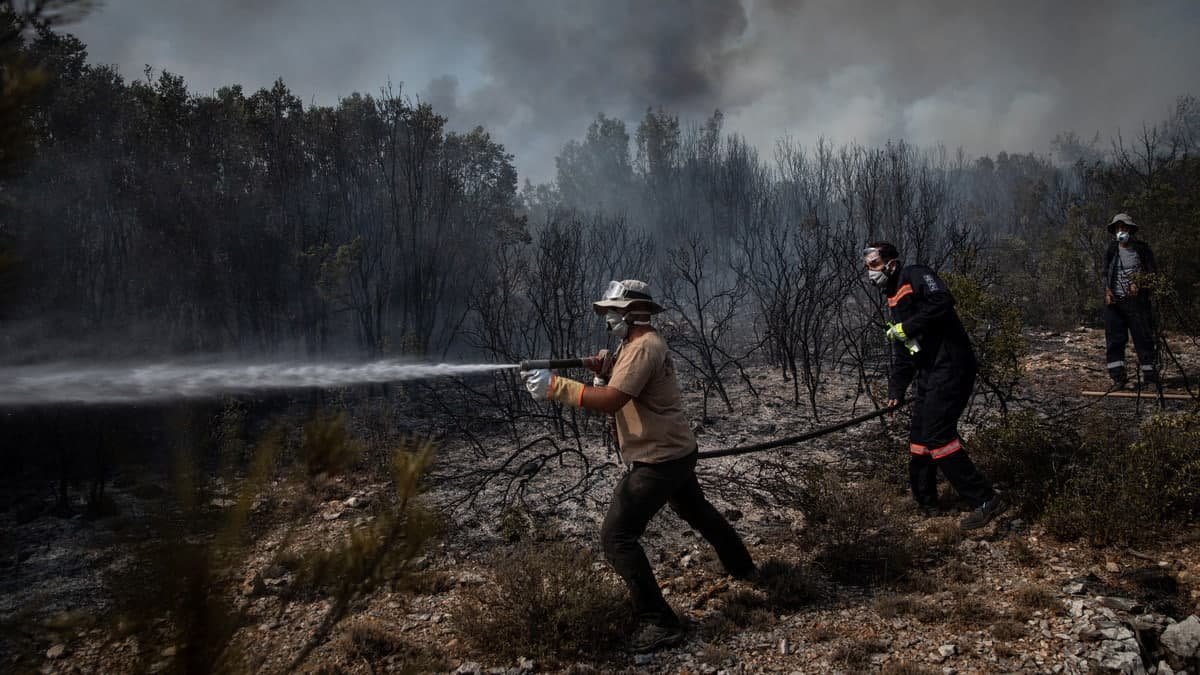 На юге Турции бушуют лесные пожары: огонь быстро распространяется из-за ветра