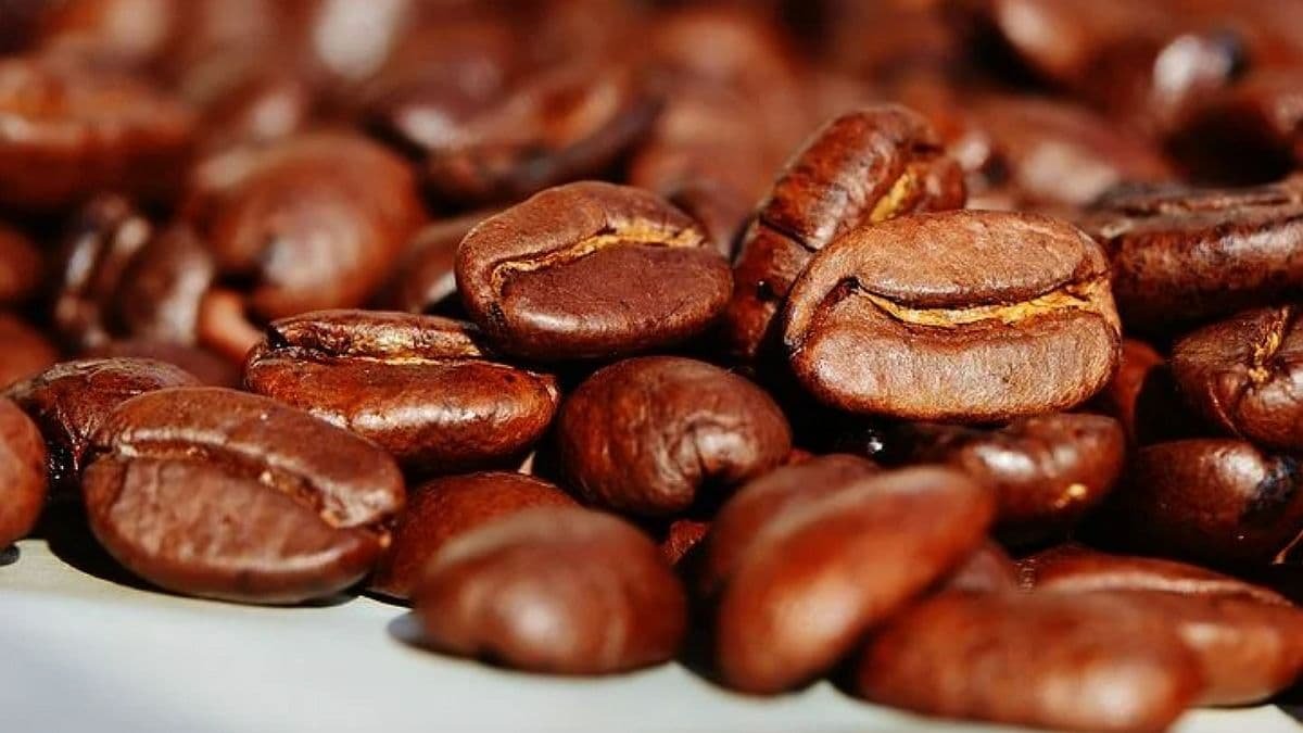 В Финляндии учёные презентовали кофе из пробирки